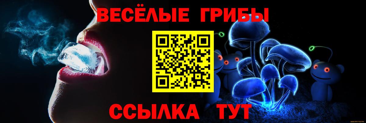 Галлюциногенные грибы Psilocybine cubensis  Вход с VPN  Электрогорск 